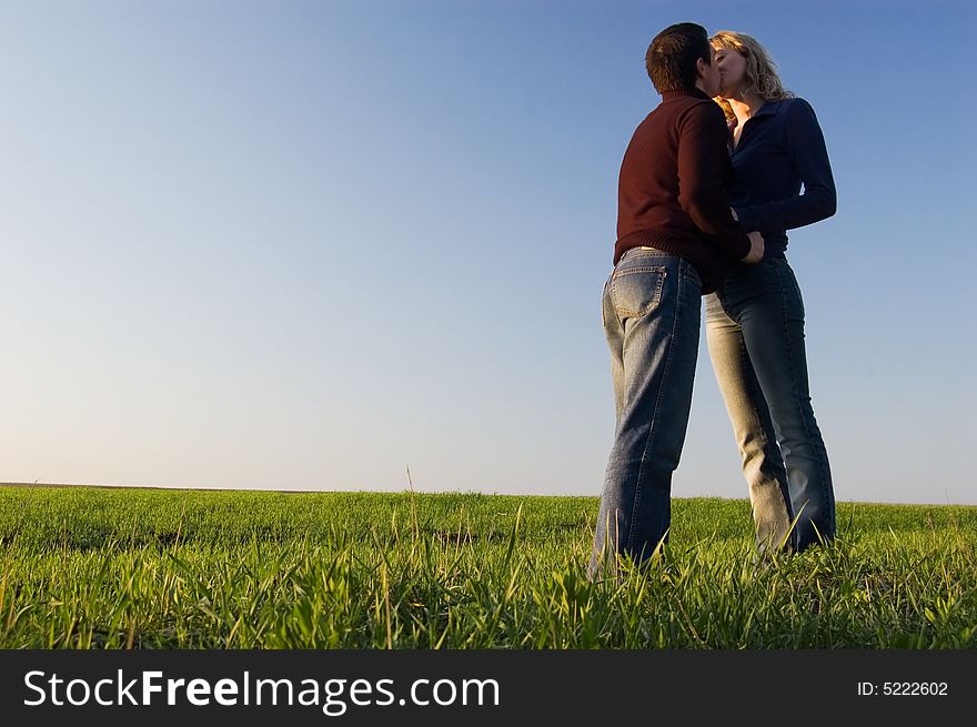 The guy and the girl kiss in a spring field. The guy and the girl kiss in a spring field