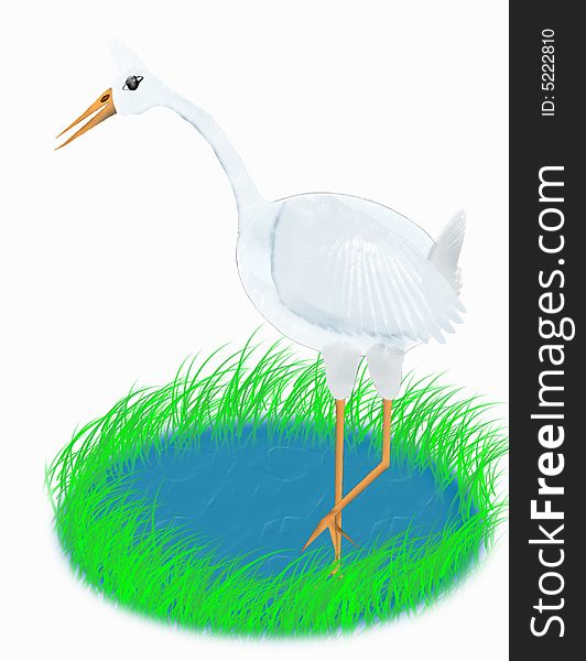 White stork on a bog