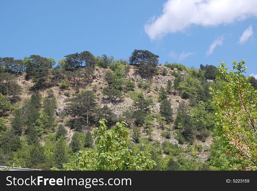 Wood on a mountain slope in the solar afternoon. Wood on a mountain slope in the solar afternoon