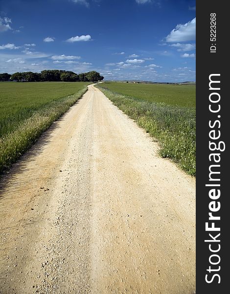 Sand track in the countryside of belmonte in spain