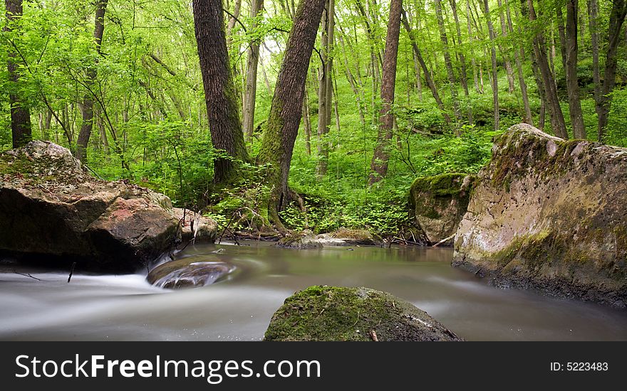 An image of stones in spring forest. An image of stones in spring forest