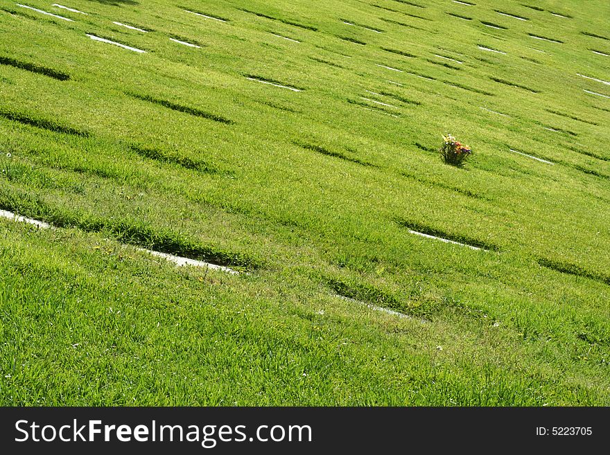 Green grass or lawn of a cemetery with flat grave markers. Green grass or lawn of a cemetery with flat grave markers