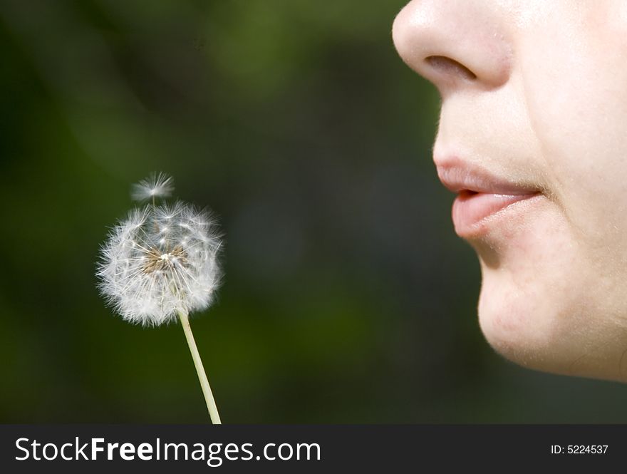 Girl blowing dandelion with green background