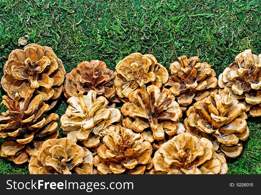 Bunch of pine cones on the grass. Bunch of pine cones on the grass