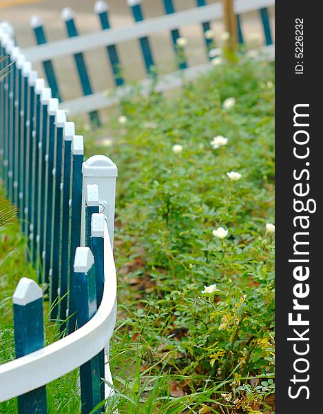 The blove picket fencing