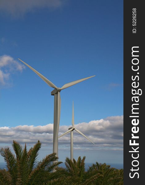 Wind turbines in Canary Island with palm trees