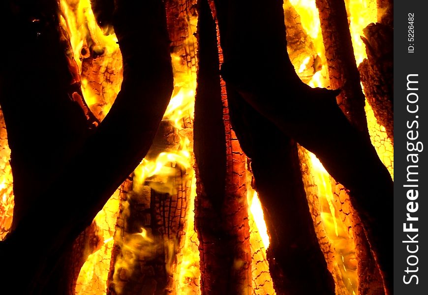 Close up of burning wood