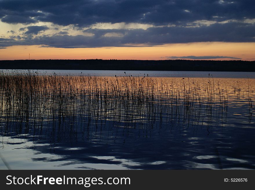 The photo is made on a decline, in Russia on lake Michurinskoe, flash was not applied