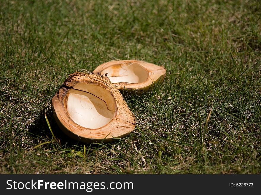 Empty coconut lying on the lawn. Bright rind.