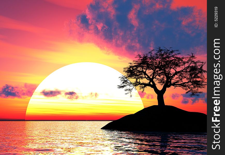 Sunset_Tree_Holm