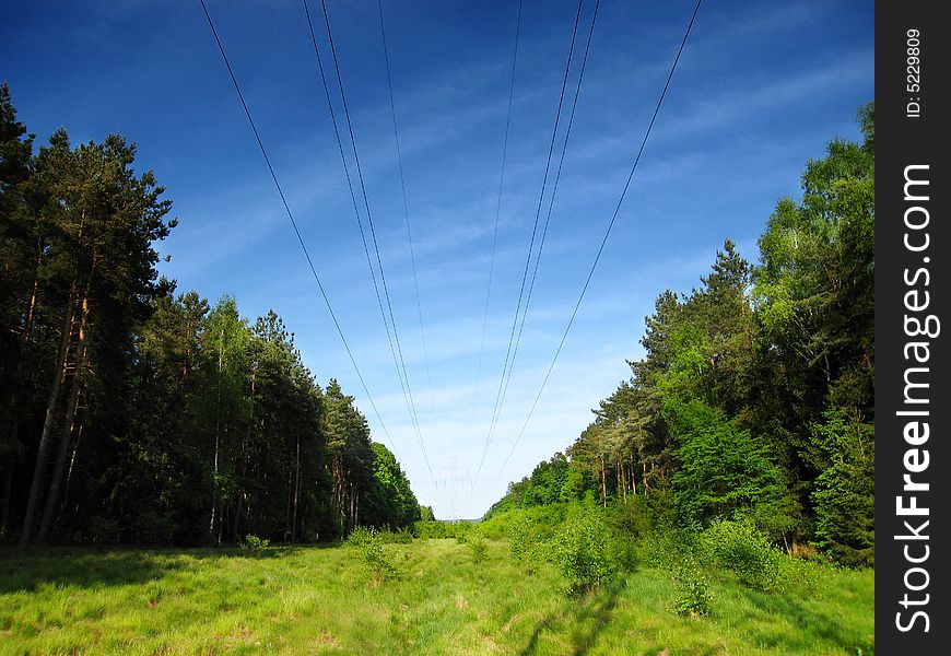 Photo of line of high tension in forest. Photo of line of high tension in forest