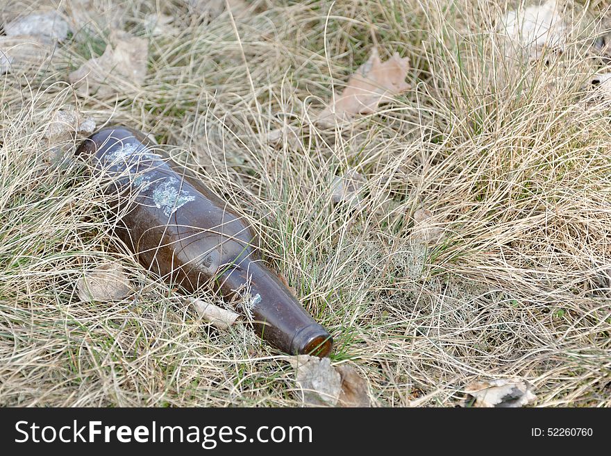 Empty beer bottle in grass.