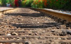 Railroad Tracks Royalty Free Stock Image