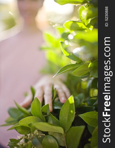 Woman Touching Plant