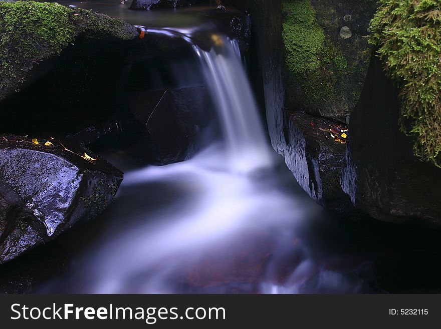 Mysterious purple river flowing over the mossy rocks. Catlins. South Island. New Zealand