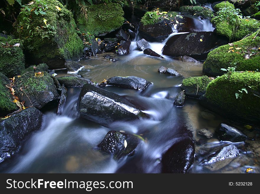 Mysterious purple river flowing over the mossy rocks. Catlins. South Island. New Zealand