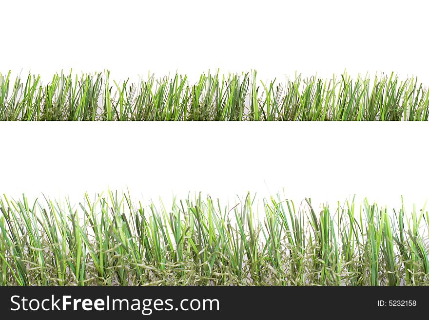 High abd low green grass over white background