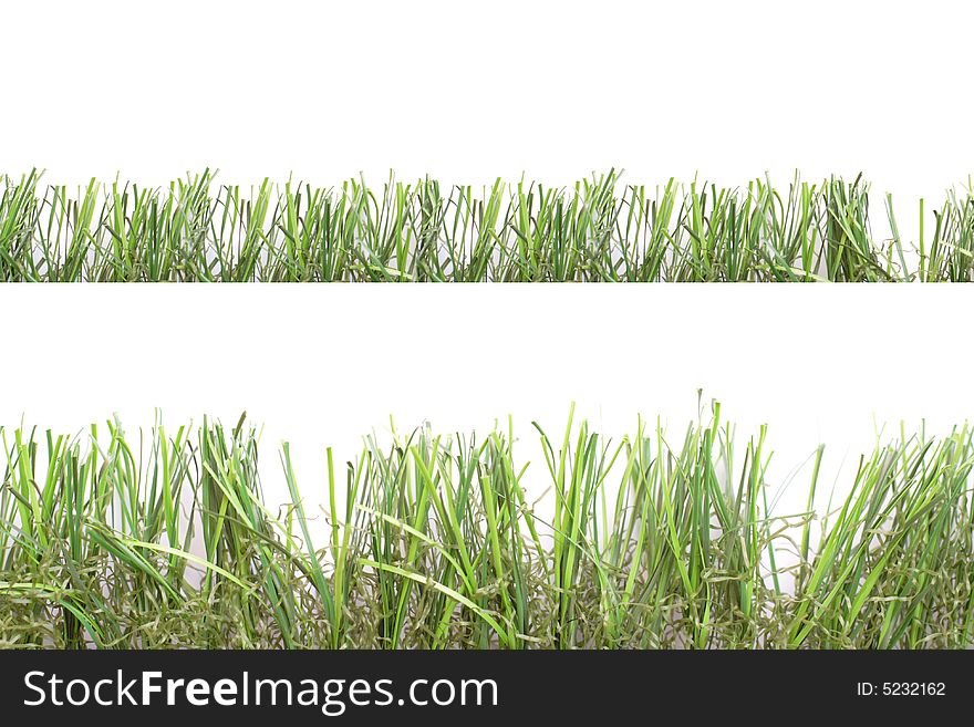 High abd low green grass over white background