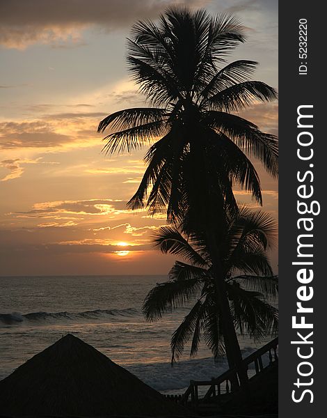 Silhouette of  palm on a famous beach Poneloya. Pacific ocean. Nicaragua. Silhouette of  palm on a famous beach Poneloya. Pacific ocean. Nicaragua