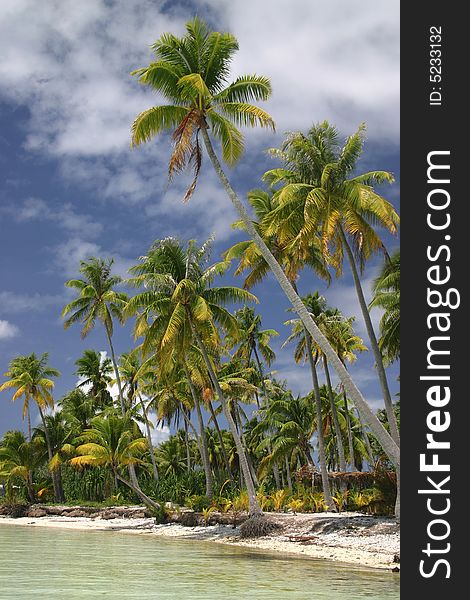 Beautiful beach on famous travel destination Pacific Island Bora Bora. French Polynesia