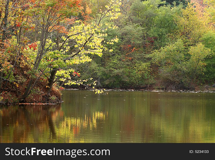 Fall foliage reflecting on small lake. Fall foliage reflecting on small lake