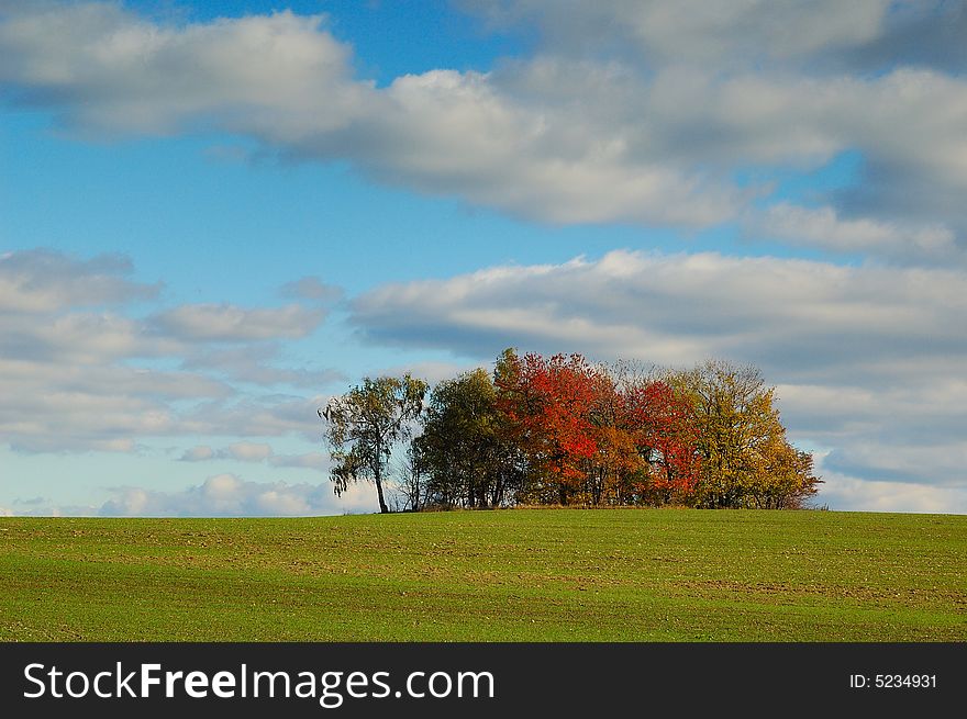 Group of trees in field and cloudy sky. Near of Sovinec in Czech republic. Group of trees in field and cloudy sky. Near of Sovinec in Czech republic.