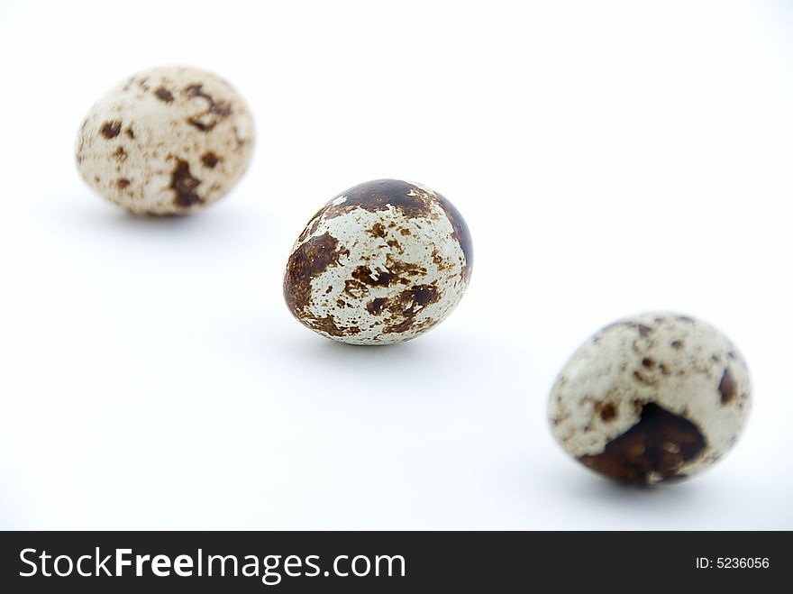 Three quails egg on white background with blur except middle. Three quails egg on white background with blur except middle