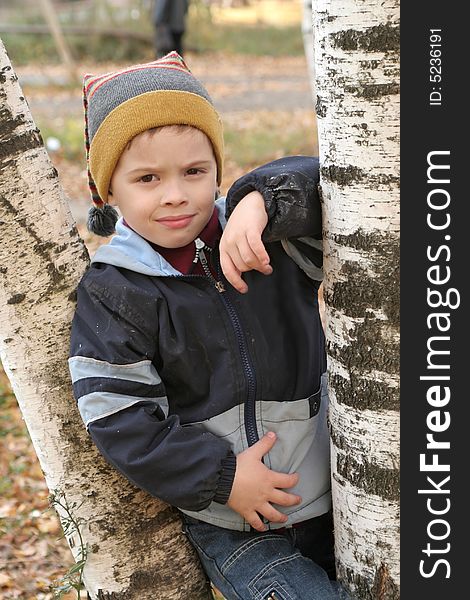 The Nice Boy Among Birches In The Autumn Afternoon