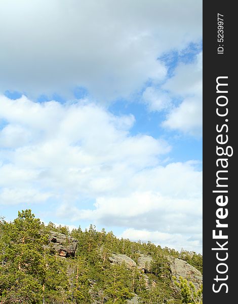 Landscape of green forest with bright blue sky