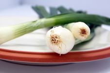 Fresh Spring Onions - Shallow DOF Royalty Free Stock Image