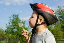 Boy Blowing Dandelion Stock Photos Boy Blowing Dandelion Stock Photos