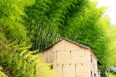 Old House Among Bamboo Stock Photos