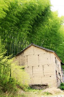 Old House Among Bamboo Royalty Free Stock Photo