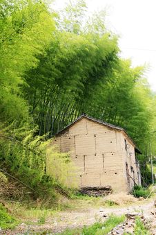 Old House Among Bamboo Stock Image
