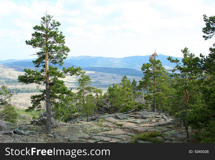 Landscape of mountain and forest with bright sky