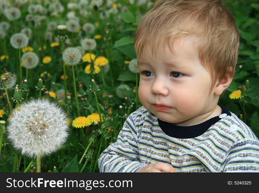 Child with the bouquet of dandelions in the hands. Child with the bouquet of dandelions in the hands