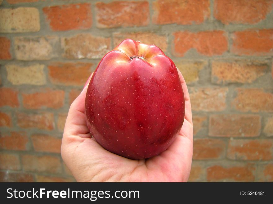 Big red apple on womans hand and bricks background. Big red apple on womans hand and bricks background