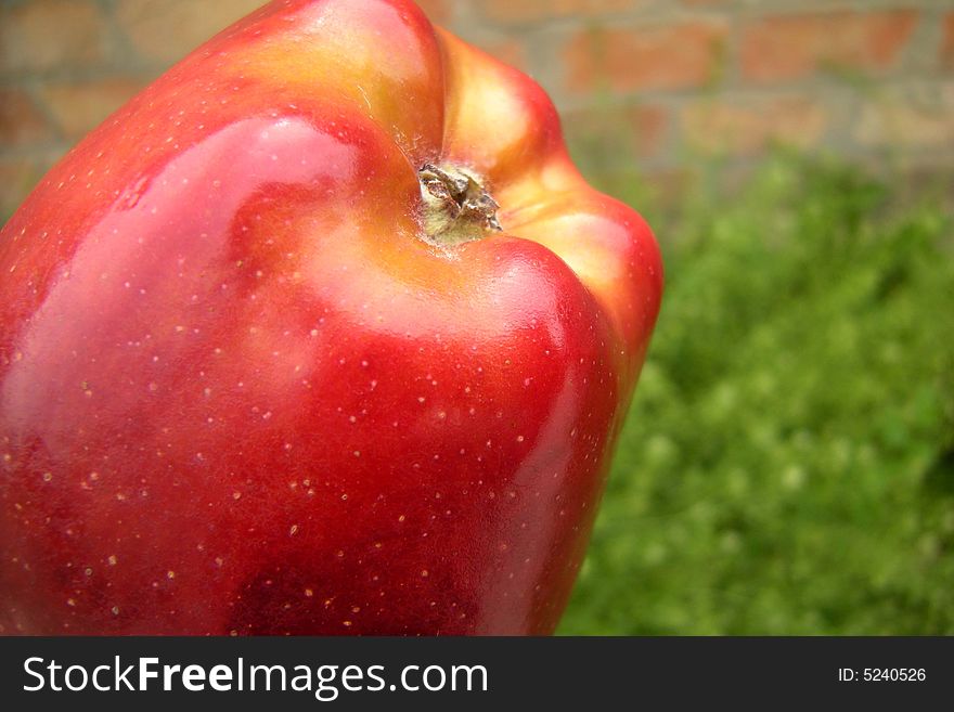 Big red apple - green grass background