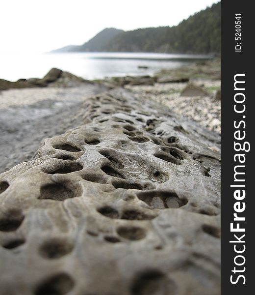 Holes in sandstone on Galiano Island