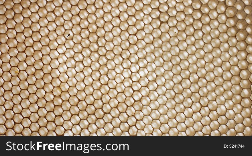 Honey Texture