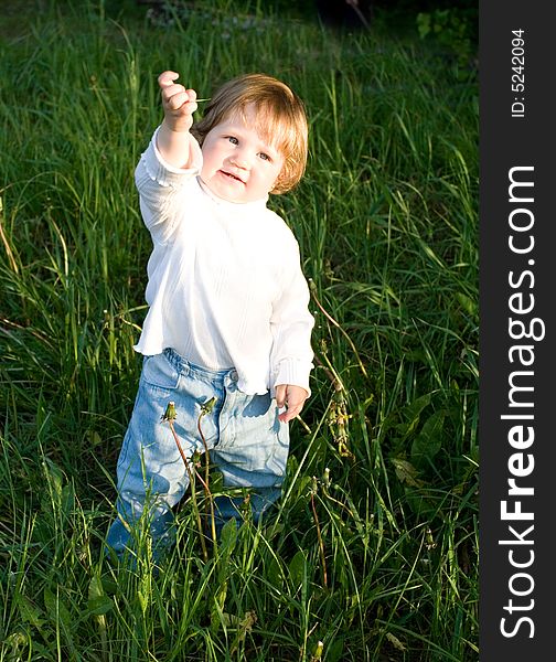 Little girl in a meadow