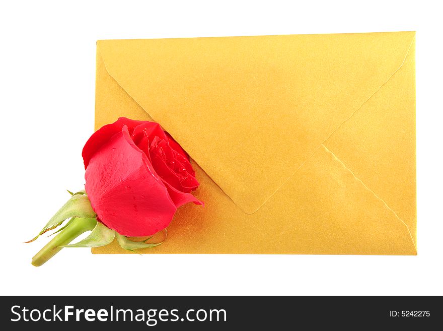 Rose and a gold envelope isolated on white background