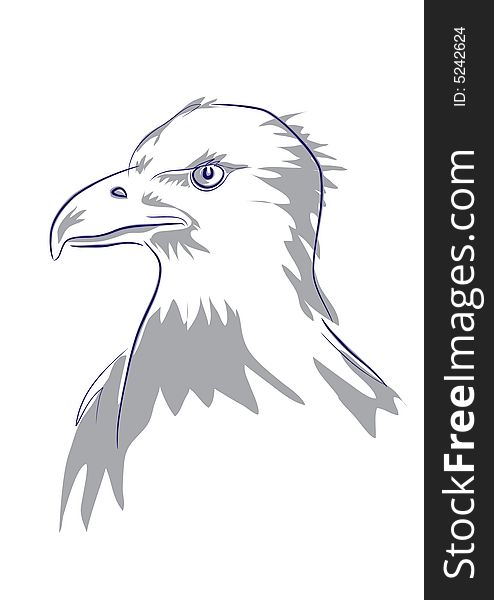 Eagles head - comp.drawing by tablet, used two colours, lines and shadows