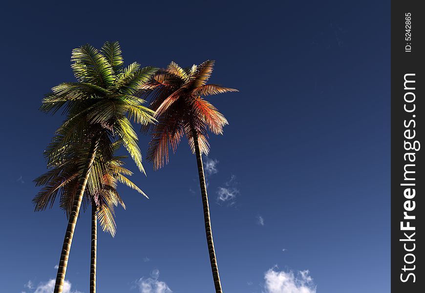 An image of some palm trees against a tropical sky, it would be a good conceptual image representing holidays. An image of some palm trees against a tropical sky, it would be a good conceptual image representing holidays.