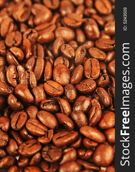 Many roasted coffee beans closeup