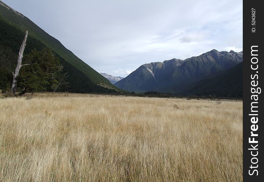 Section of the Travers Track in Nelson Lakes National Park, New Zealand.