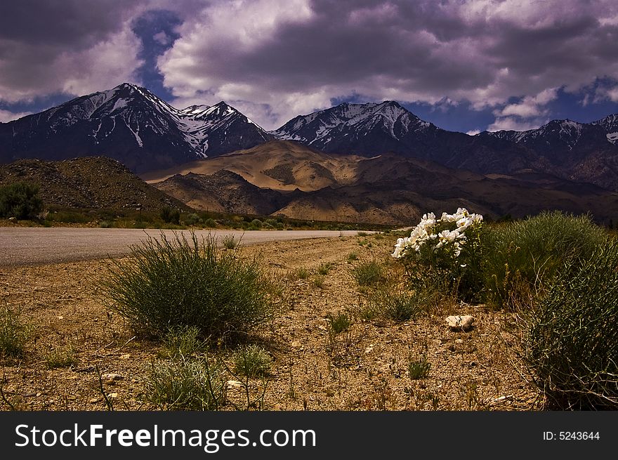 This is the Eastern Sierra Nevada near the town of Independence, Ca.  The road leads to the Mount Whitney Fish Hatchery which is a beautiful place.  In the background you can see some of the Alabama Hills which I have featured in other photographs. This is the Eastern Sierra Nevada near the town of Independence, Ca.  The road leads to the Mount Whitney Fish Hatchery which is a beautiful place.  In the background you can see some of the Alabama Hills which I have featured in other photographs.