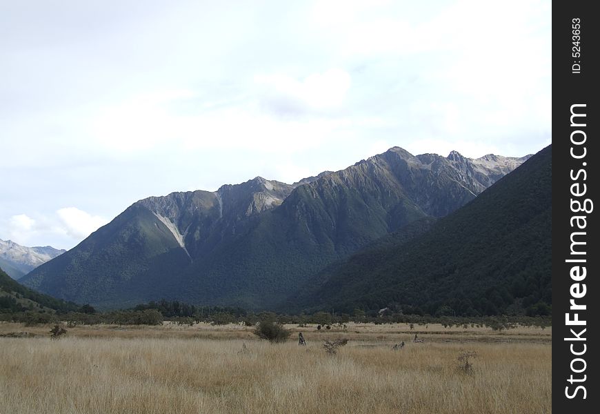 Section of the Travers Track in Nelson Lakes National Park, New Zealand.