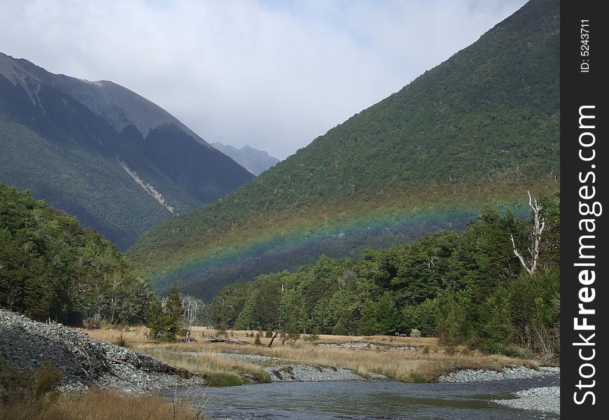 Section of the Travers Track in Nelson Lakes National Park, New Zealand, just past the swingbridge.