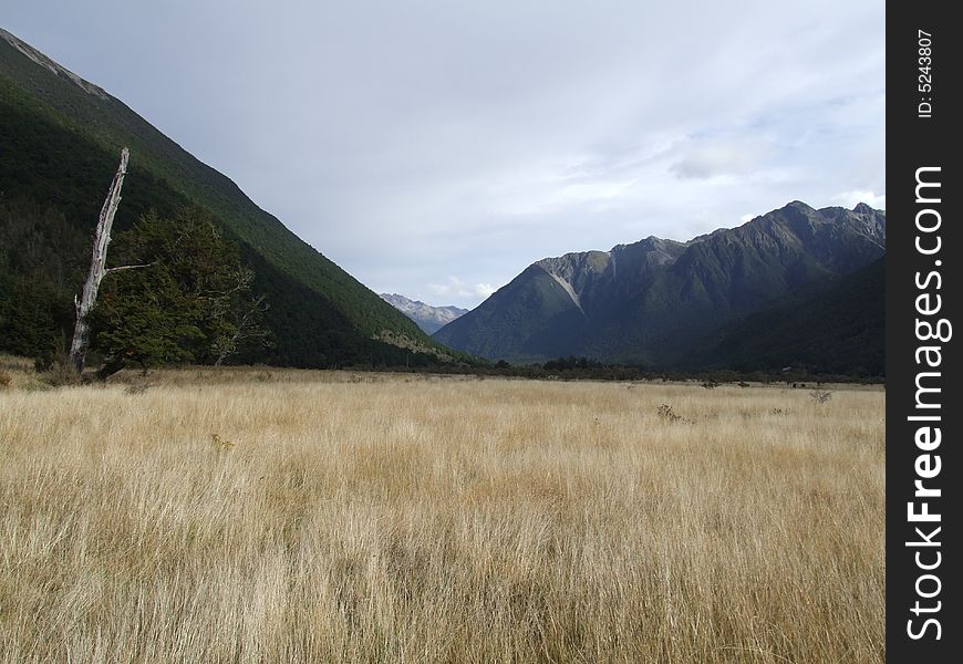 Section of the Travers Track in Nelson Lakes National Park, New Zealand.